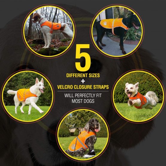 4LegsFriend Dog Safety Reflective Vest - High Visibility for Outdoor Activity Day and Night, Keep Your Dog Visible - Safe From Cars & Hunting Accidents | Blaze Orange (Large) - Image 3