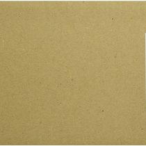 CANON PFI-1700 Photo Ink Standard Capacity 700 ml Pack of 1 iPF Pro2000/4000/4000S/6000S