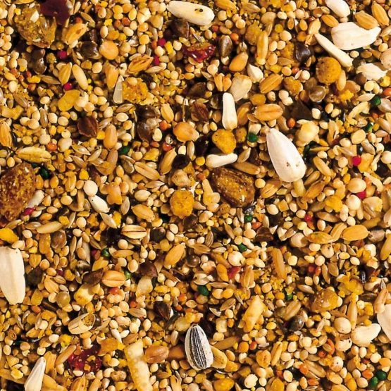 Beaphar XtraVital Large Parakeet, 500 g, clear - Image 2
