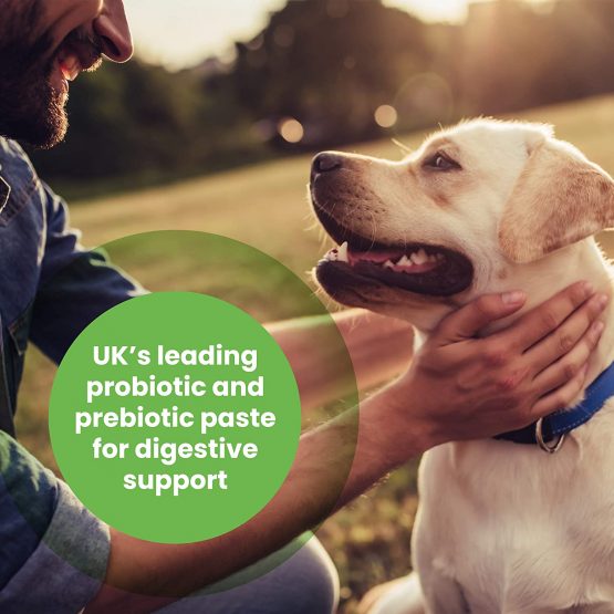 Pro-Kolin for dogs and cats–Probiotic paste to support the gut 15ml + Syringe - Image 4