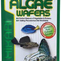 Hikari Algae Wafers [Sng] 82G