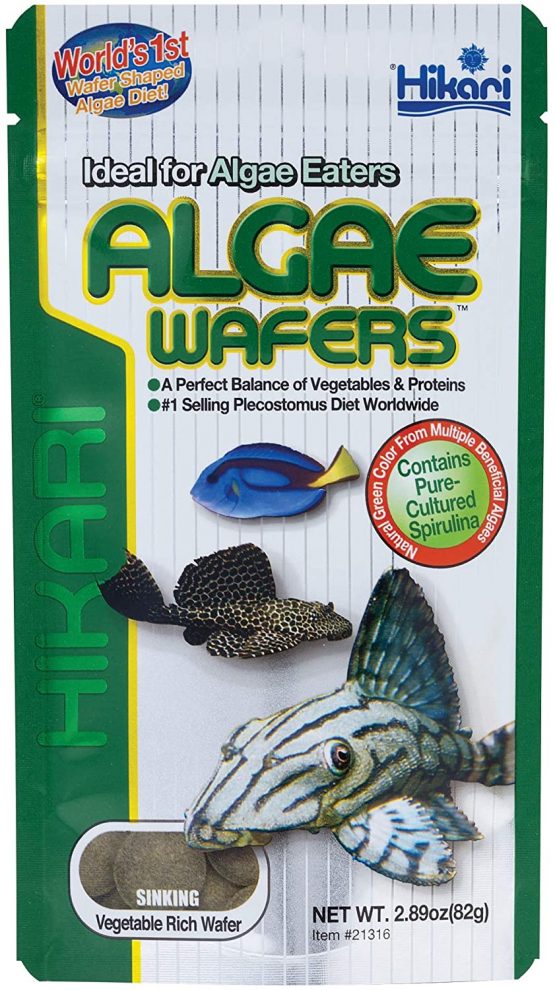 Hikari Algae Wafers [Sng] 82G