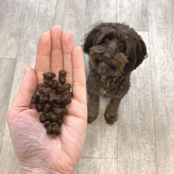 Dragonfly Products Grain Free Dog Puppy Training Treats - 80% Poultry, 20% Potatoes & Stock - 1000 Healthy Low Fat Treats (500g) - Image 4