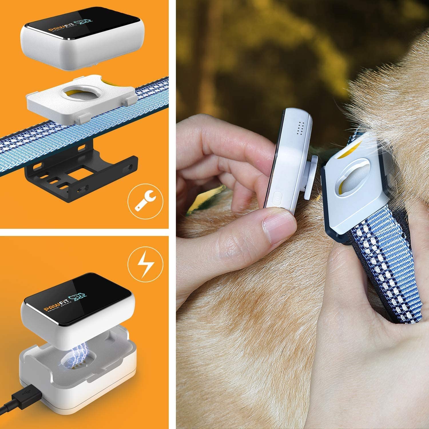 Pawfit 3 GPS Pet Tracker GPS Dog Tracker 4G Live Satellite Tracking, Multiple Smart Alerts - Image 2
