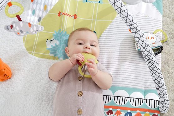 Fisher-Price GKD45 Deluxe Gym, Multicoloured - Image 3