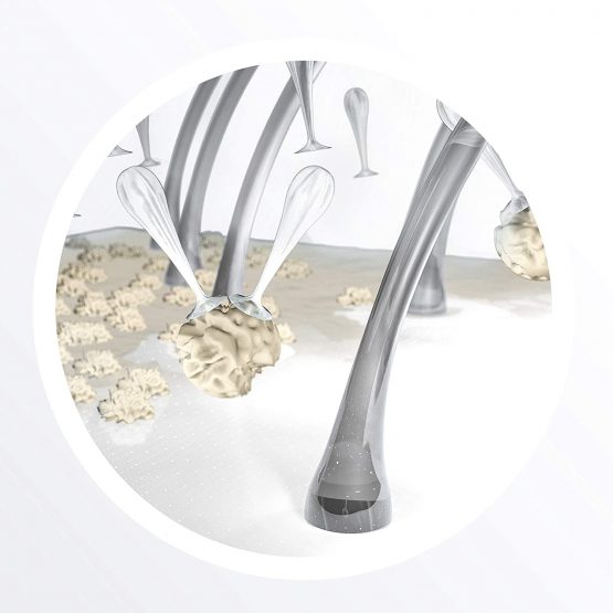 NIOXIN System 4 for Coloured Hair with Progressed Thinning - Image 3