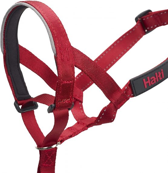 Halti Head Collar, Head Halter Collar for Dogs, Head Collar to Stop Pulling for Small, Medium and Large Dogs - Image 2