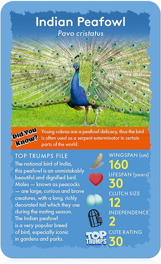 Birds Top Trumps Card Game - Image 3
