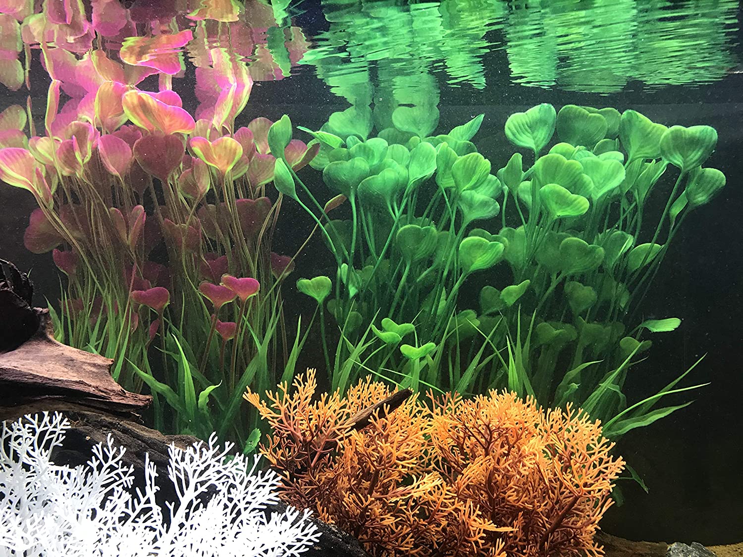 BEGONDIS 2 Pcs Artificial Water Plants, Fish Tank Aquarium Decorations, Made of Soft Plastic - Image 4