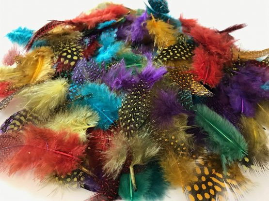 Kids B Crafty 100 Spotted Feathers spotted Craft Collage Feathers Millinery Pack FLY FISHING COLOURs - Image 4