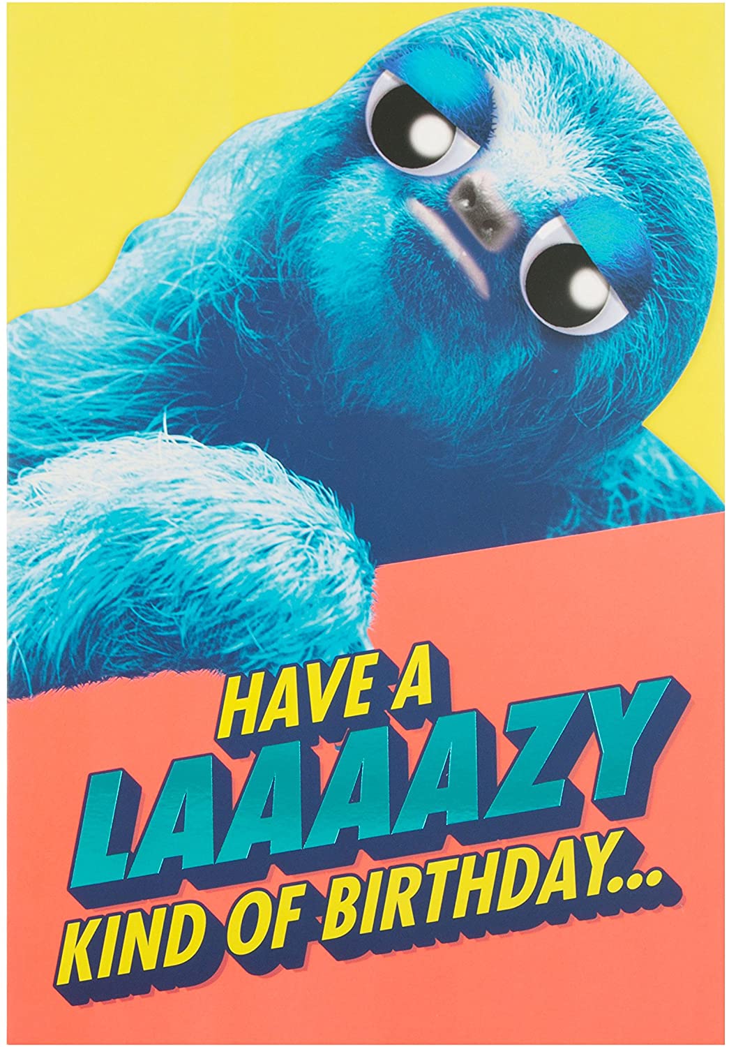 Hallmark 25488381 Funny Birthday Card "Laaaazy" - Medium