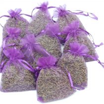 Quercus Living Large Lavender Bags (9x7centimetre) for Scented Drawers, Cupboards and Natural Anti Moth