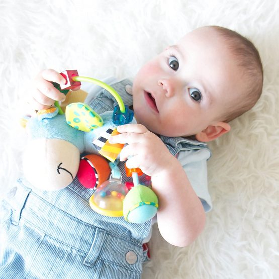 Playgro Activity Rattle Clip Clop, Learning Toy, From 3 Months, BPA Playgro Toy Box Horse Clip Clop, Blue/Multicoloured, 40016 - Image 4