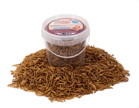 Chubby Mealworms Dried Mealworms, 1 Litre
