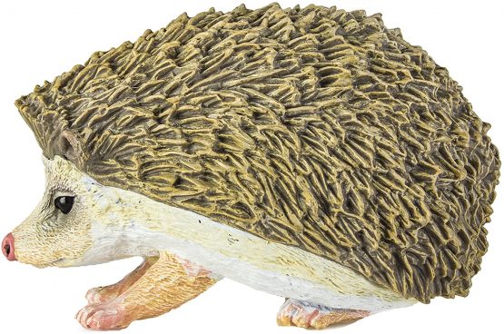Hedgehog - Image 2