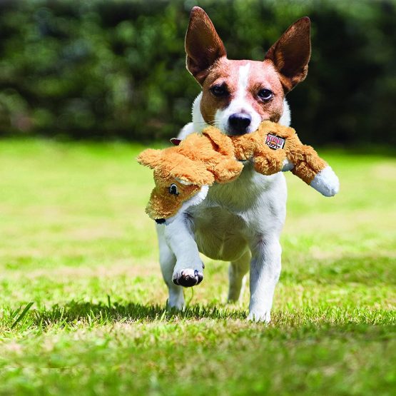 KONG - Scrunch Knots Fox - Internal Knotted Ropes and Minimal Stuffing for Less Mess - For Small/Medium Dogs - Image 2