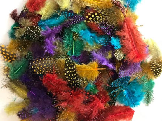 Kids B Crafty 100 Spotted Feathers spotted Craft Collage Feathers Millinery Pack FLY FISHING COLOURs - Image 2