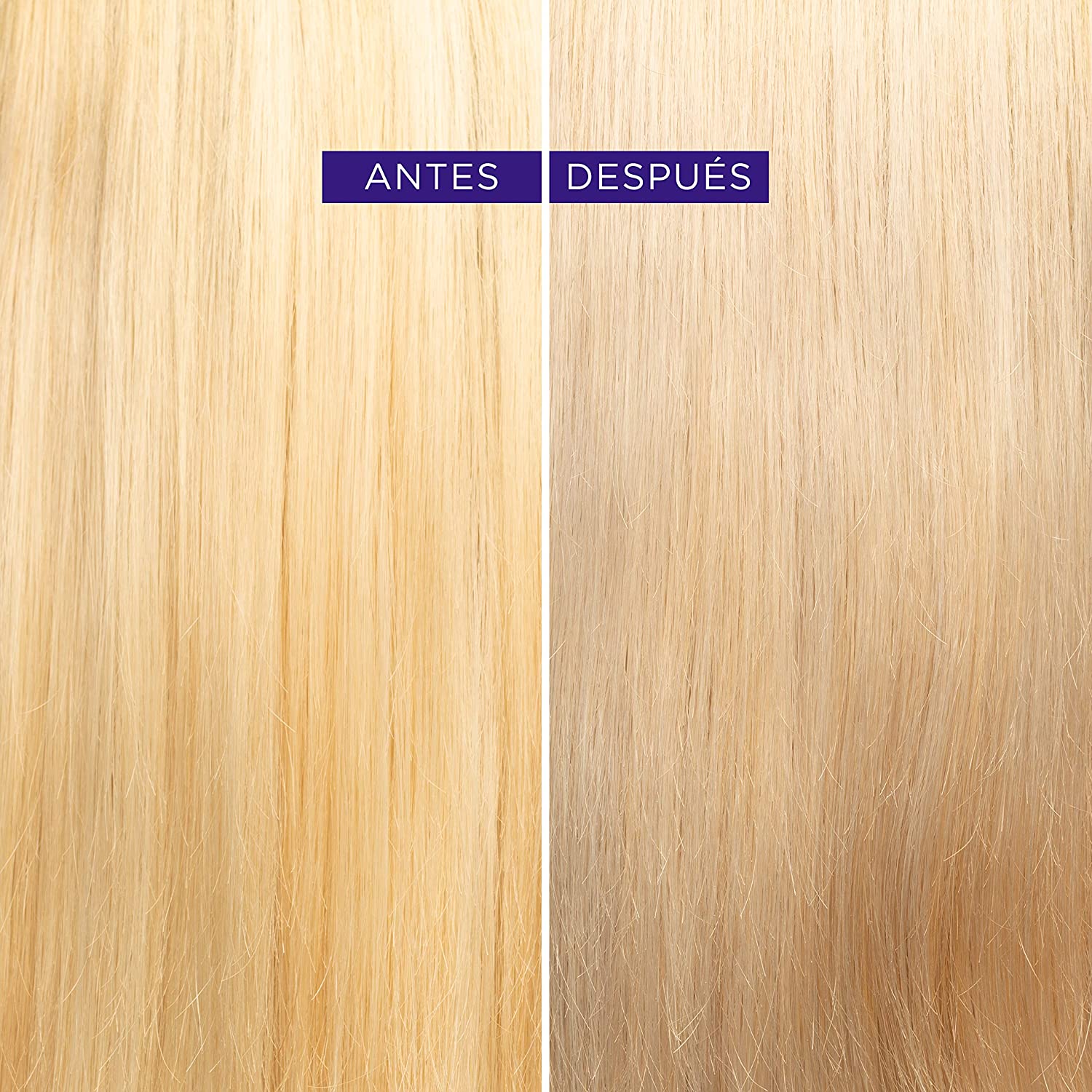 LOreal Paris Anti-Effect Orange Tinting Violet Shampoo, for Colored Blonde, Bleached or Grey Hair, Elvive Color Vive - Image 3