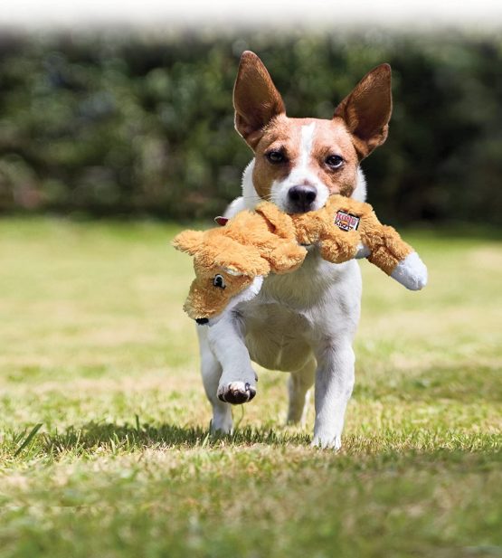 KONG Scrunch Knots Squirrel Dog Toy, Small/Medium - Image 2