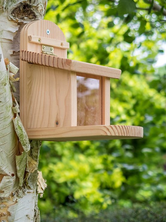 Wildlife World Squirrel Feeder - Image 3