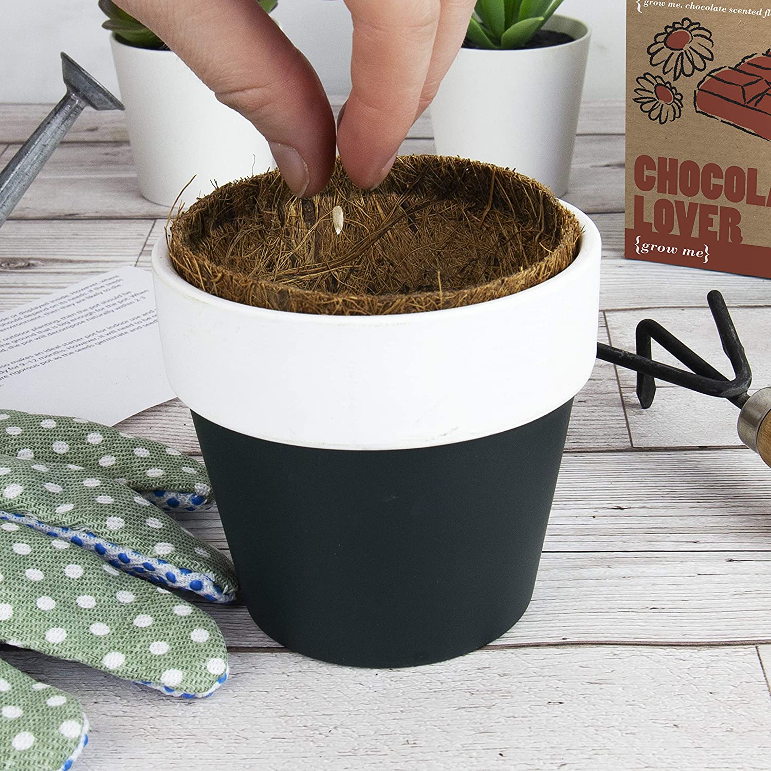 Gift Republic GR130034 Chocolate Lover Grow Me, Multi - Image 2