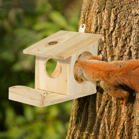Relaxdays Squirrel Feeder House, Feeding Station Box, Hanging, Wooden, HWD: 17.5 x 14 x 25 cm, Dark Green, Fir wood, Pack of 1 - Image 3