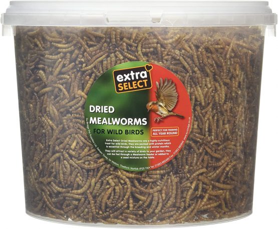 Extra Select Dried Mealworms Wild Bird Feed Treat, 3 Litre