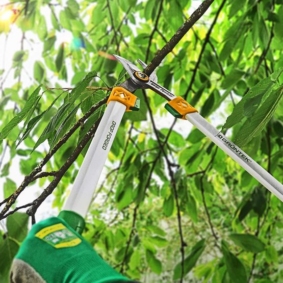 GRÜNTEK Professional forged Loppers X-25 650 mm, sharp and comfortable Bypass pruner - Image 4