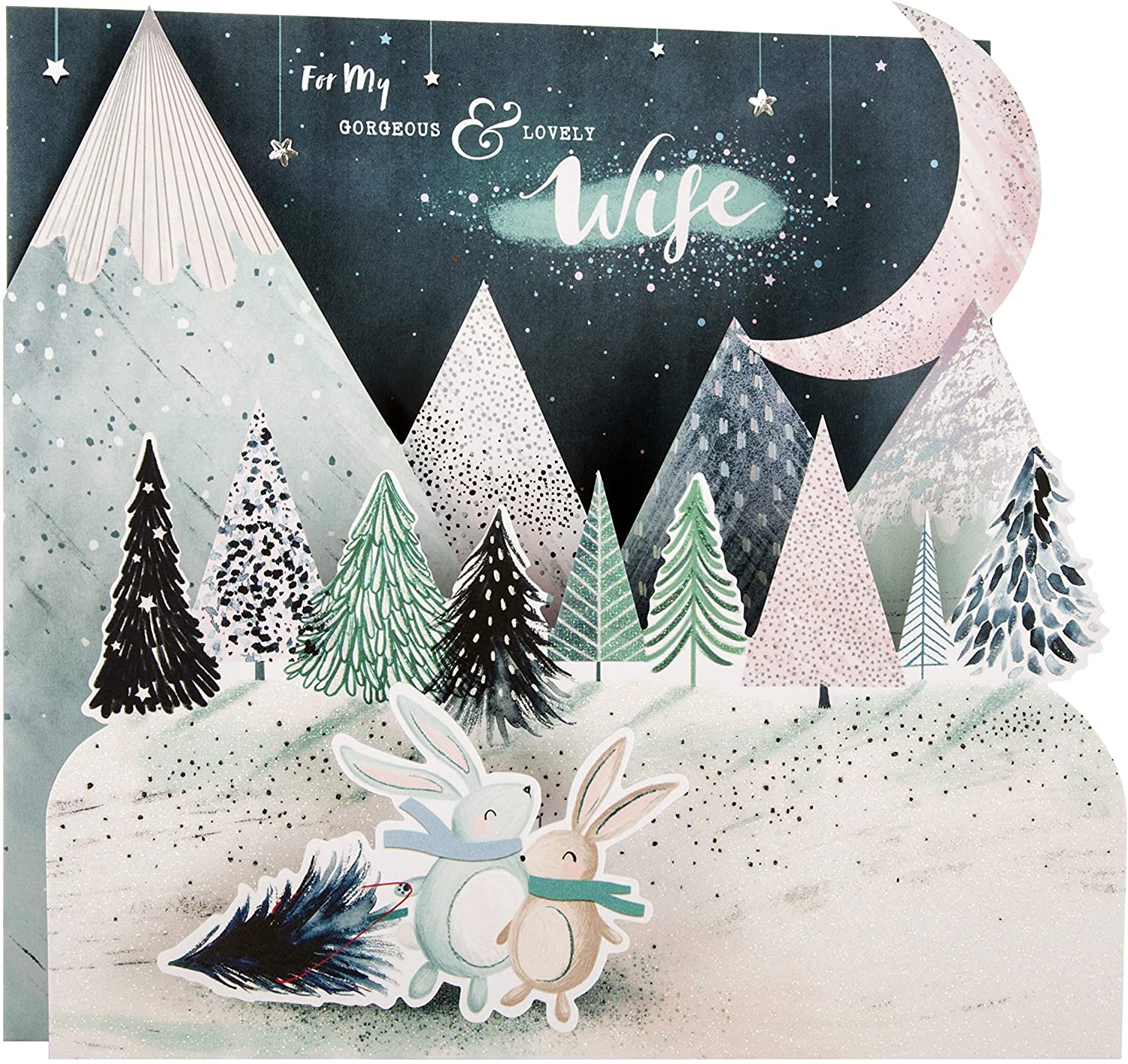 Hallmark Christmas Card for Wife - Cute 3D Fold-Out Rabbits Design, Blue, Green & White, 22 cm by 22 cm - Image 2