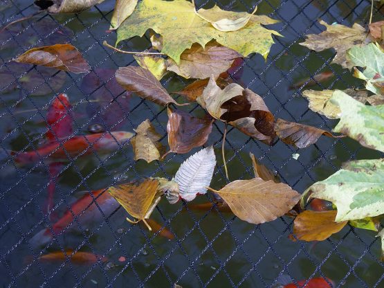 Blagdon Clearview Pond Cover Net, Strong Double Weave, Black, Fine, With Pegs, 6 m x 3 m (20’ x 10'), Protects Pond - Image 4