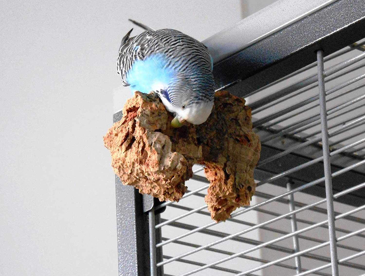 Budgie toys 2 pieces natural cork bird toys shredding toy bird cuttlefish for birds alternative budgie accessories - Image 4
