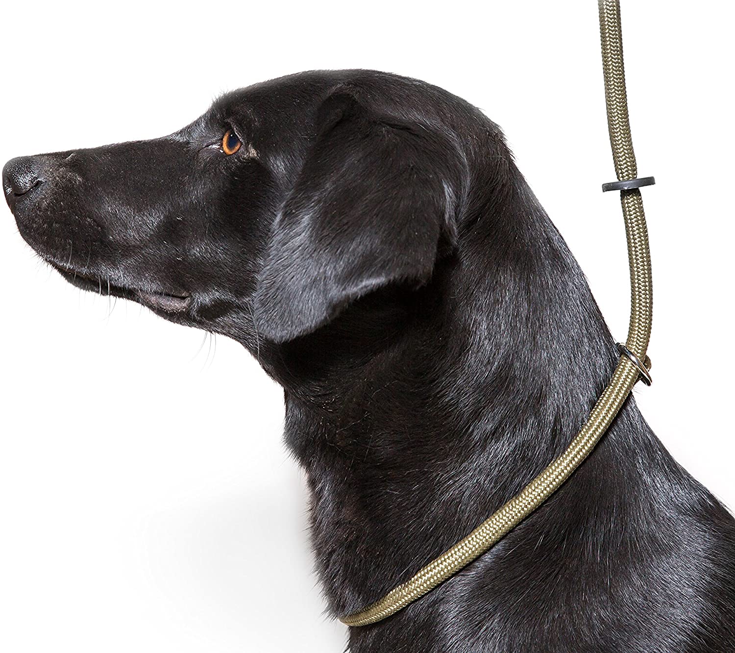 Dog & Field Deluxe Gundog Slip Lead, Green. Super Soft Braided Nylon Slip Lead for Dogs With Rubber Stopper Easy To Slip On - Image 3