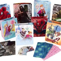 Hallmark Kids Gift Bag, Tissue and Tag Pack - 4 Medium Bags, 4 Small Bags, 2 Sheets of Wrap & Tag, 2 Tissue Packs & 1 Tag Pack