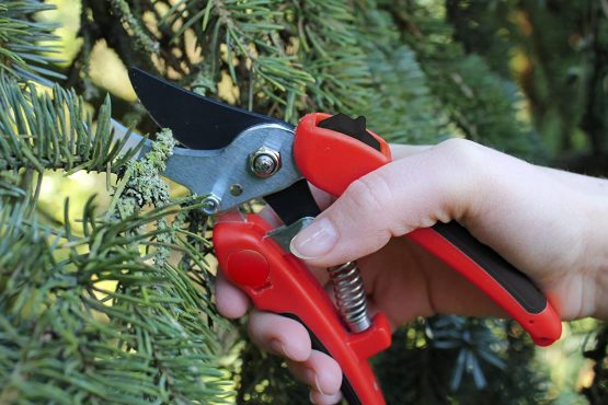 Darlac Compound Action Pruner - Image 2
