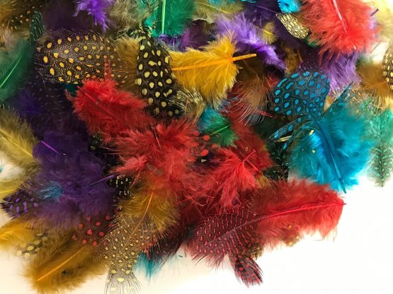 Kids B Crafty 100 Spotted Feathers spotted Craft Collage Feathers Millinery Pack FLY FISHING COLOURs - Image 3
