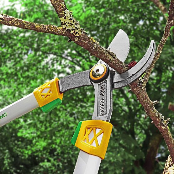 GRÜNTEK Professional forged Loppers X-25 650 mm, sharp and comfortable Bypass pruner - Image 3