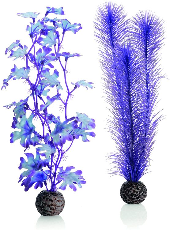 biOrb Seaweed Set M purple
