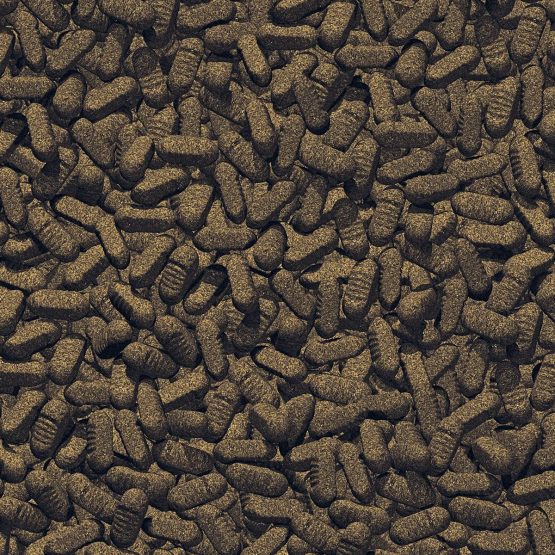 JBL Silkworms for Koi, Floating Treats, Delicacies, ProPond Silkworms, Size M, 0.34 kg - Image 3