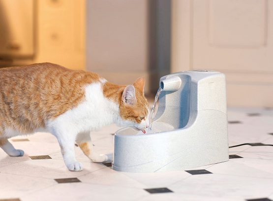 PetSafe Drinkwell, Anti Splash, Mini Pet Fountain, Silent, Compact, Easy Clean, Free Flowing, 1.2 Litre Drinking Fountain for All Pets - Image 4