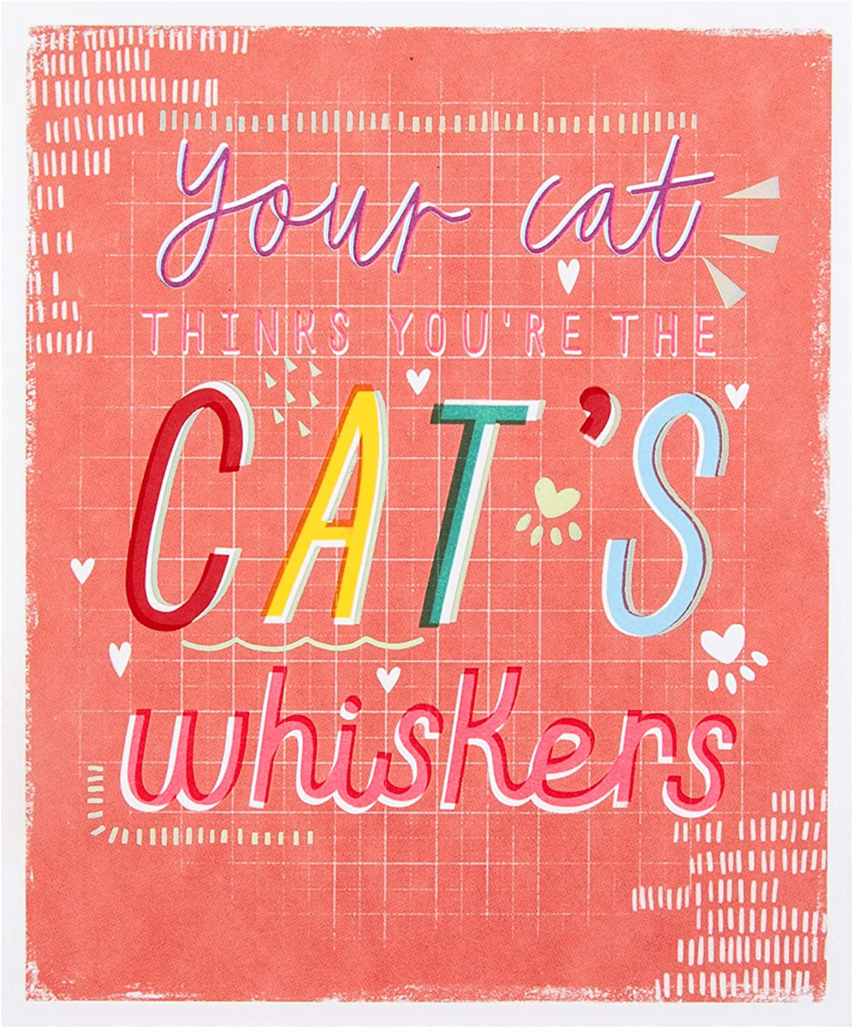 Hallmark Valentines Day Card from the Cat, Valentines Day Card, Fun Pink Message Design, Pink, Multicoloured, 16.2cm by 13.5cm