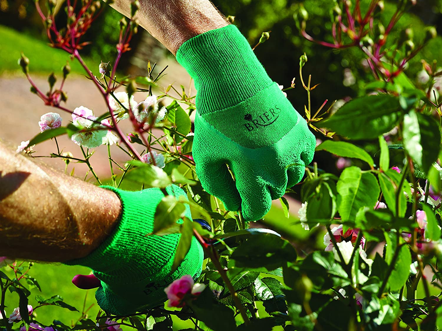 Briers B0095R Gloves, Green, Small (1 Pair) - Image 2
