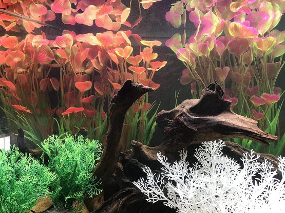 BEGONDIS 2 Pcs Artificial Water Plants, Fish Tank Aquarium Decorations, Made of Soft Plastic, Safe for All Fish & Pets (Large Plant - Red) - Image 3