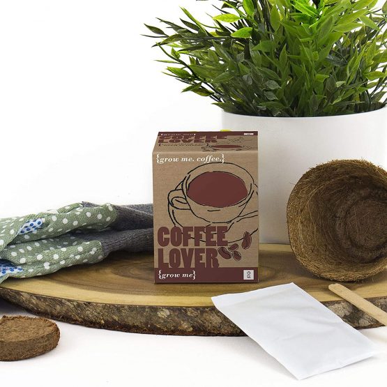 Gift Republic GR130003 Grow Me Coffee Lover, 12.0 cm*12.0 cm*12.0 cm - Image 3