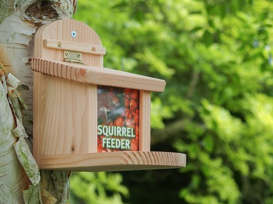 Wildlife World Squirrel Feeder - Image 2