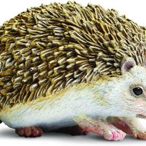 Hedgehog
