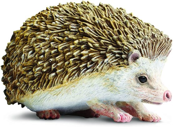 Hedgehog
