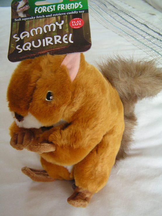 Animal Instincts Sammy Squirrel Squeaky Dog Toy (Size: Large)