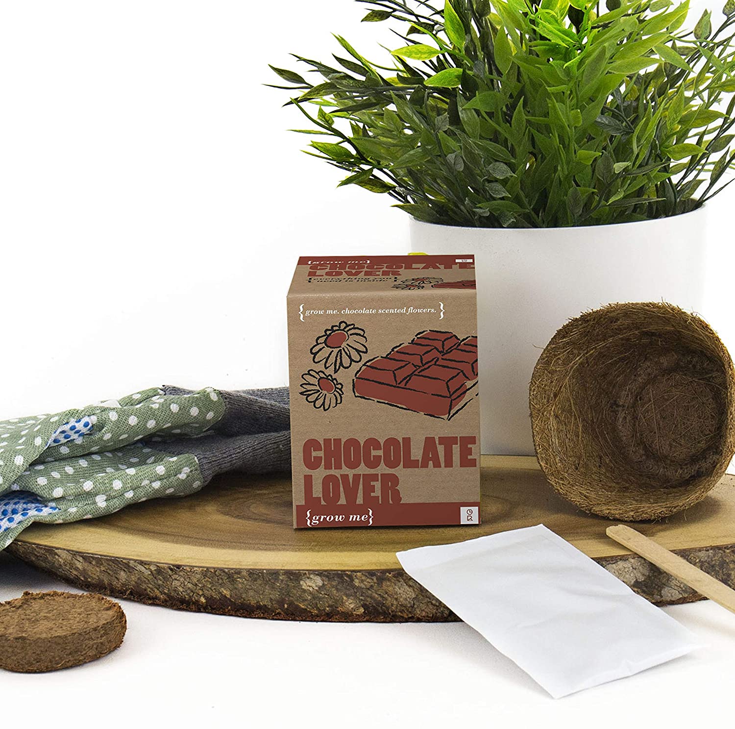 Gift Republic GR130034 Chocolate Lover Grow Me, Multi