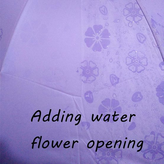 Ladies Parasol Umbrella UV Protection for Women Parasol Lightweight Anit-UV Umbrellas for Summer Sun Protection (Clove Purple) - Image 2