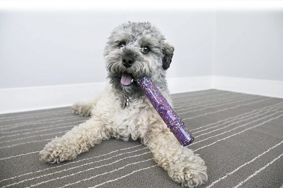KONG Squeezz Confetti Stick Dog Toy, Assorted, Medium - Image 2